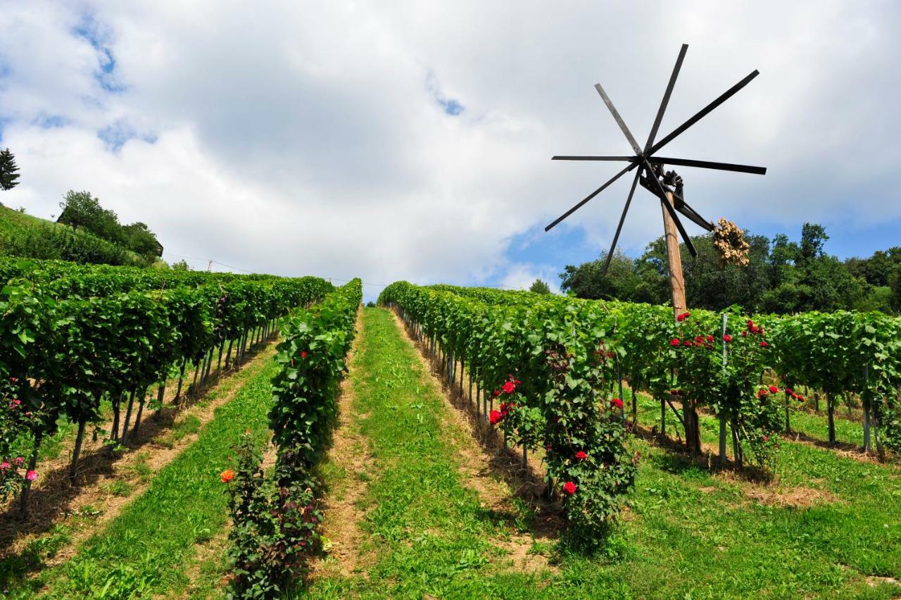 Weingut Stoff Bed & Breakfast คิทเซค อิม เซาซาล ภายนอก รูปภาพ