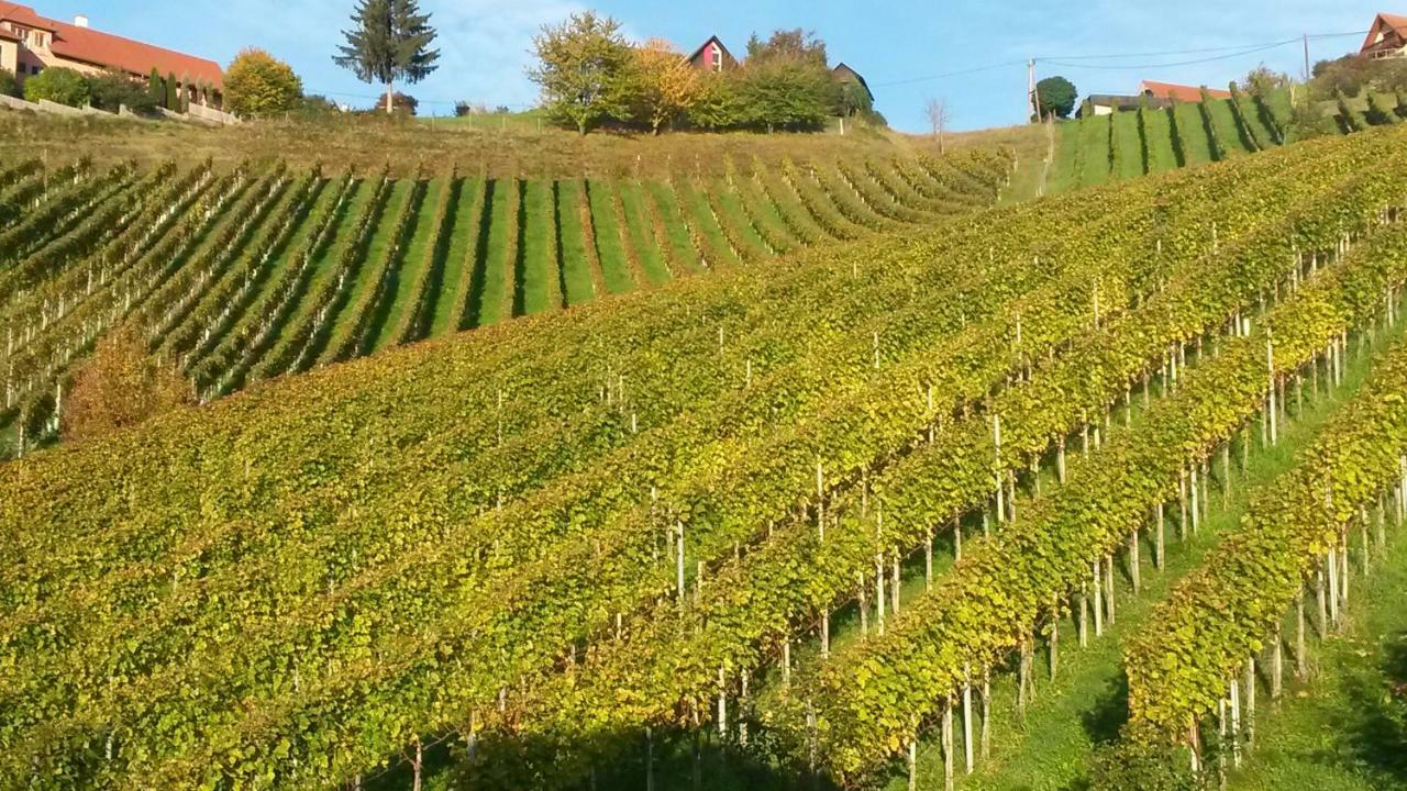 Weingut Stoff Bed & Breakfast คิทเซค อิม เซาซาล ภายนอก รูปภาพ